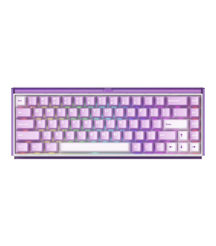 AKKO RAY68-HE Wireless Purple