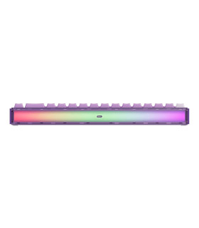 AKKO RAY68-HE Wireless Purple