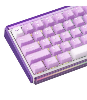 AKKO RAY68-HE Wireless Purple