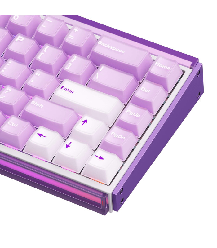 AKKO RAY68-HE Wireless Purple