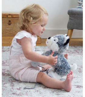 Mishka Dog Pull Along