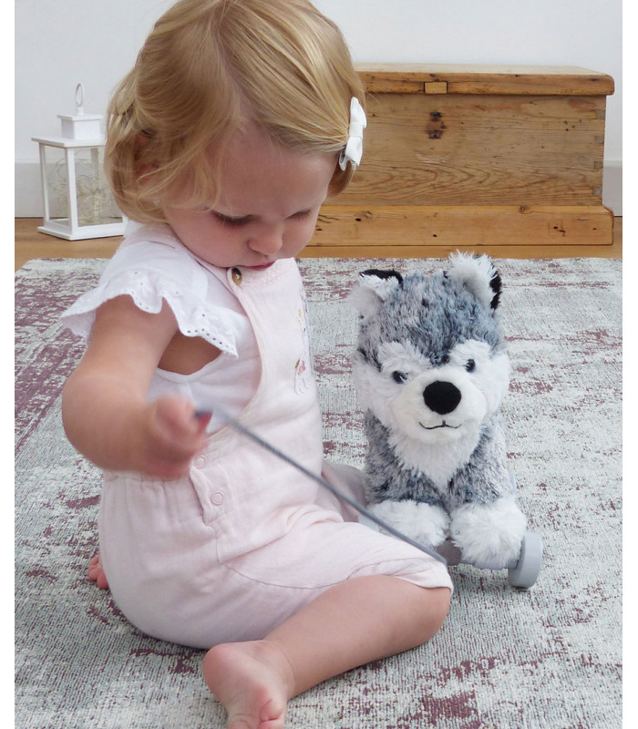 Mishka Dog Pull Along