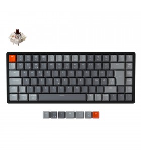 Keychron K2 Hot-Swap Brown Switch RGB (CH)