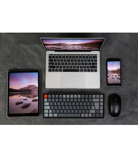 Keychron K2 Hot-Swap Blue Switch RGB (CH)