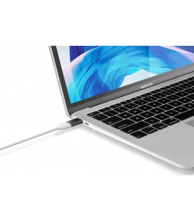 tomtoc B03 (13.3") Slim Hardshell Case, Clear