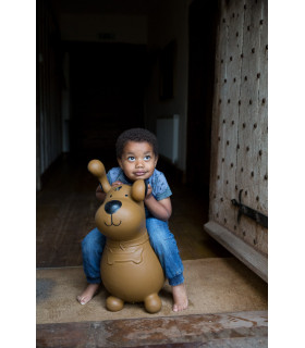 Happy Hopperz - Brown Dog