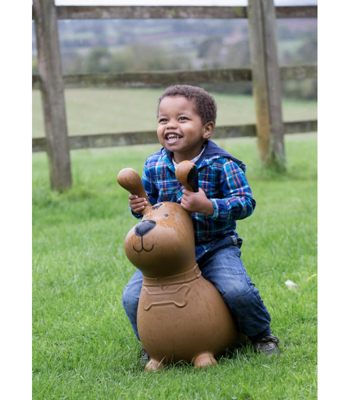 Happy Hopperz - Brown Dog