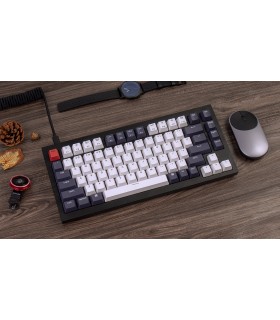 Keychron Q1 Black QMK Hot-Swap Brown Switch (US)