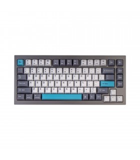Keychron K2/Q1 PBT Grey White Keycaps Set (US)