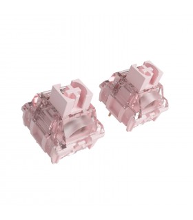 Akko x TTC Switch Princess (10pcs)