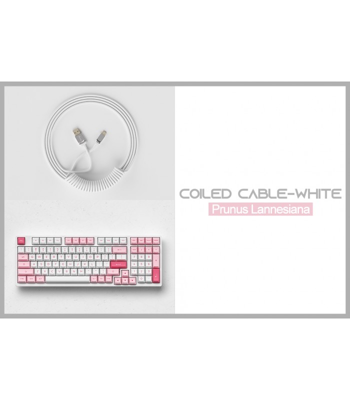 Akko Coiled Aviator Cable White