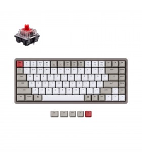 Keychron K2 Hot-Swap Red Switch (US)