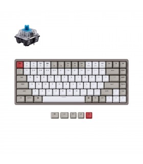 Keychron K2 Hot-Swap Blue Switch (US)