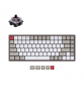 Keychron K2 Hot-Swap Brown Switch (US)