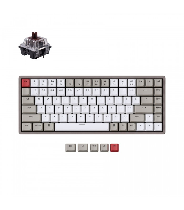 Keychron K2 Hot-Swap Brown Switch (US)