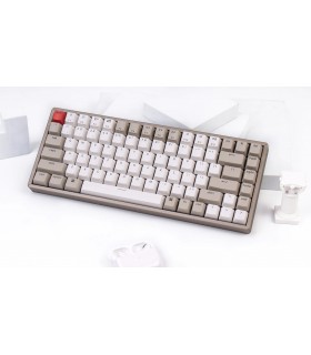 Keychron K2 Hot-Swap Brown Switch (US)