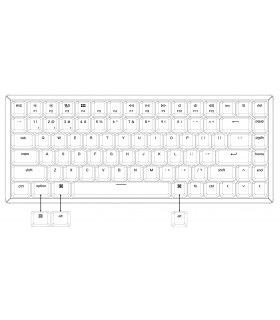 Keychron K2 Hot-Swap Brown Switch (US)