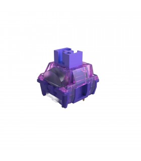 Akko x TTC Switch Demon (10pcs)