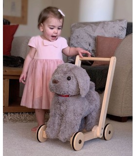 Bailey Dog Push Along