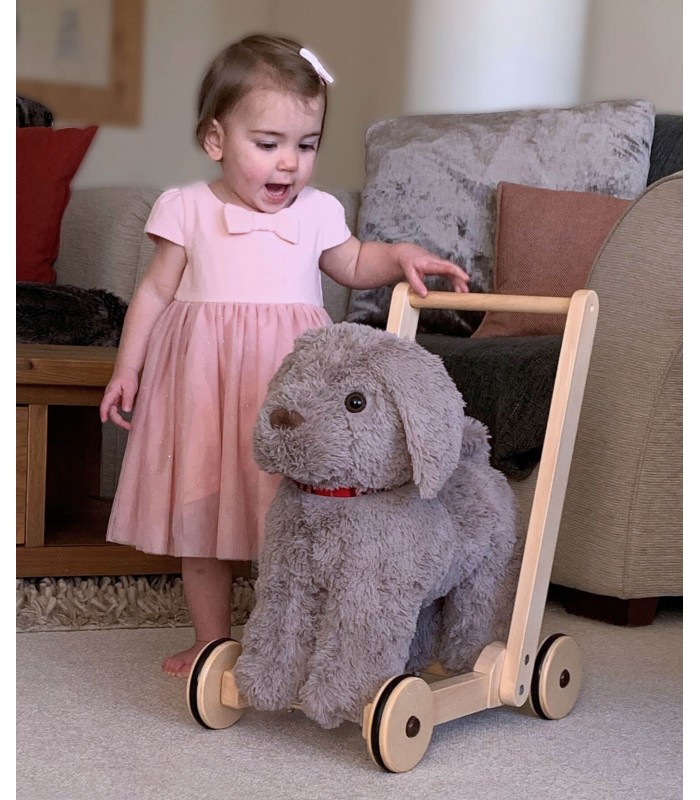 Bailey Dog Push Along