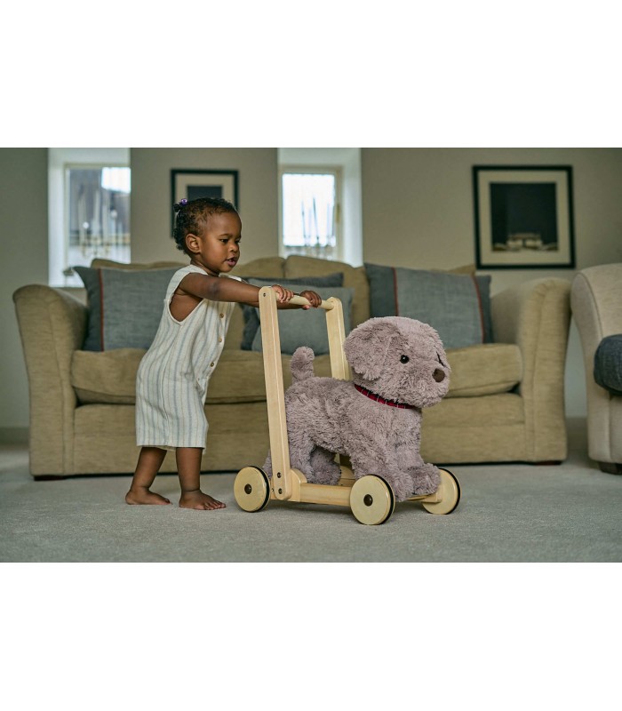 Bailey Dog Push Along