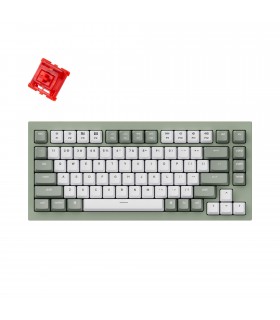 Keychron Q1 Green QMK Hot-Swap Red Switch (US)