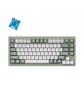 Keychron Q1 Green QMK Hot-Swap Blue Switch (US)