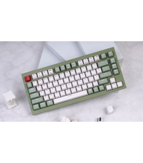 Keychron Q1 Green QMK Hot-Swap Blue Switch (US)