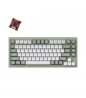Keychron Q1 Green QMK Hot-Swap Brown Switch (US)