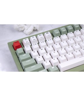 Keychron Q1 Green QMK Hot-Swap Brown Switch (US)