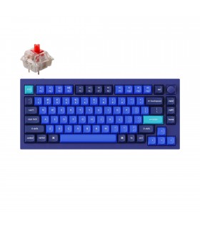 Keychron Q1 Blue QMK Red Switch (US) w/Knob