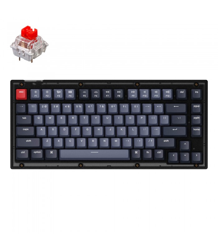 Keychron V1 Frosted Black QMK Red Switch (US)