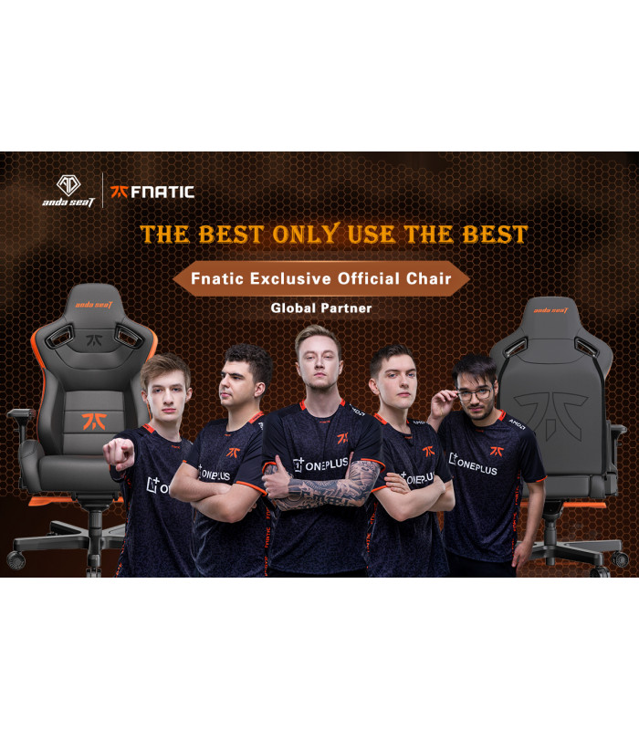 Andaseat Fnatic Edition