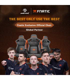 Andaseat Fnatic Edition