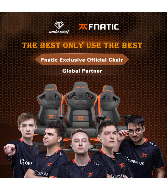 Andaseat Fnatic Edition