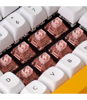 Gateron Box Ink V2 Switch Set 110pcs/Set Pink