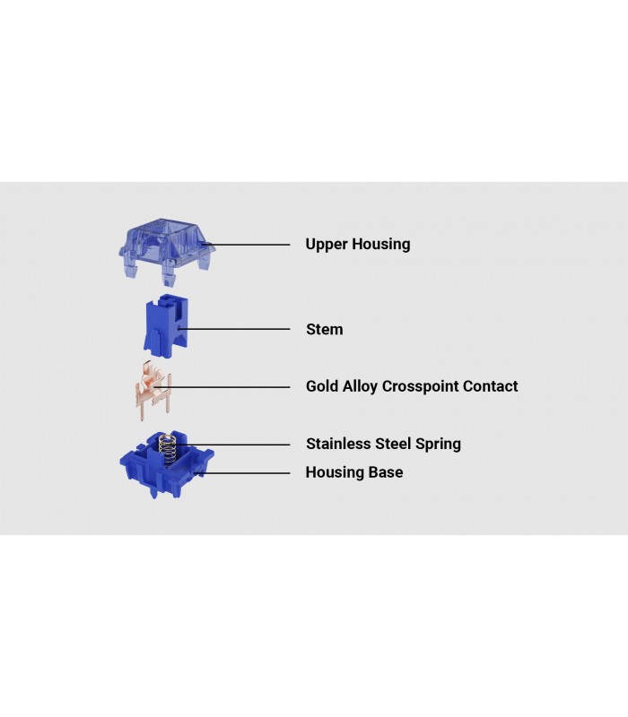 Gateron Box CJ Switch Set 110pcs/Set Dark Blue