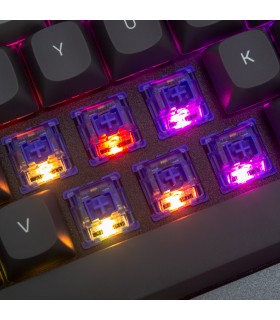 Gateron Box CJ Switch Set 110pcs/Set Dark Blue