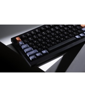 Keychron V1 Frosted Black QMK Brown Switch (US)