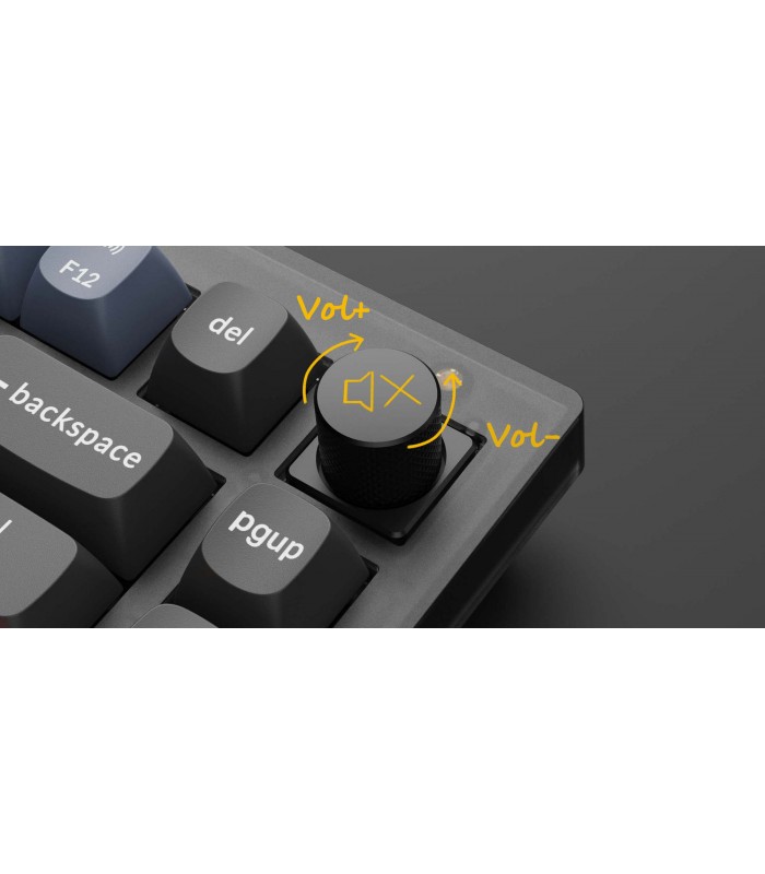 Keychron V1 Barebone ANSI Frosted Black w/Knob 