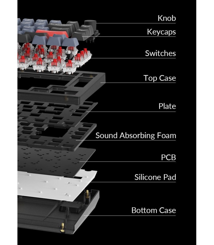 Keychron V1 Barebone ANSI Frosted Black w/Knob 