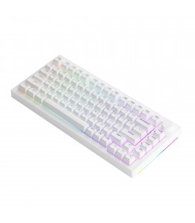 Akko 5075S Shine-Through White