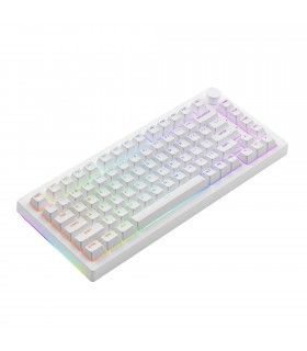 Akko 5075S Shine-Through White