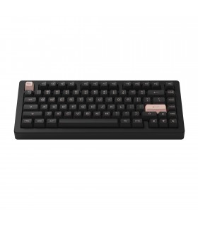 Akko ACR Pro75 RGB Black