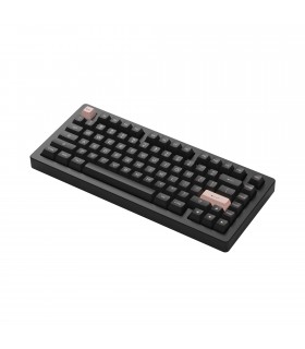 Akko ACR Pro75 RGB Black