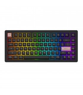 Akko ACR Pro75 RGB Black