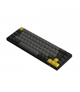 Akko 3068B Plus Black&Gold ISO-DE CS Jelly Purple