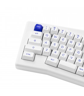 Akko ACR Pro Alice Plus White