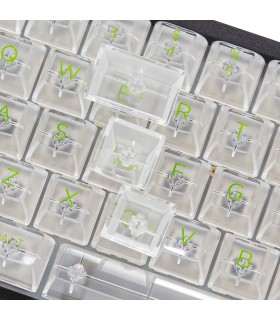 Akko ASA Clear Printed Keycap Transparent Fullset