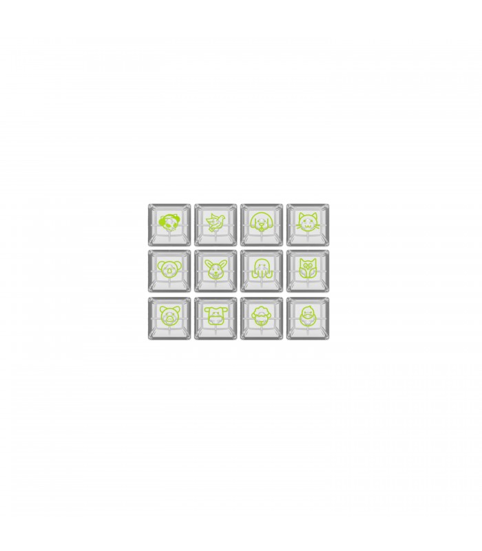 Akko ASA Clear Printed Keycap Transparent Fullset